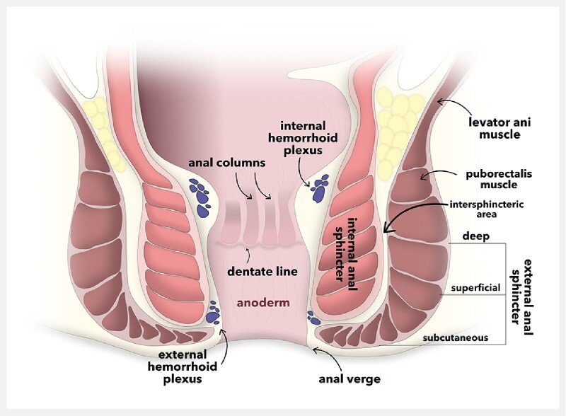 You are currently viewing Breaking the Stigma – Understanding Anal Fissure and its Homeopathic Approach