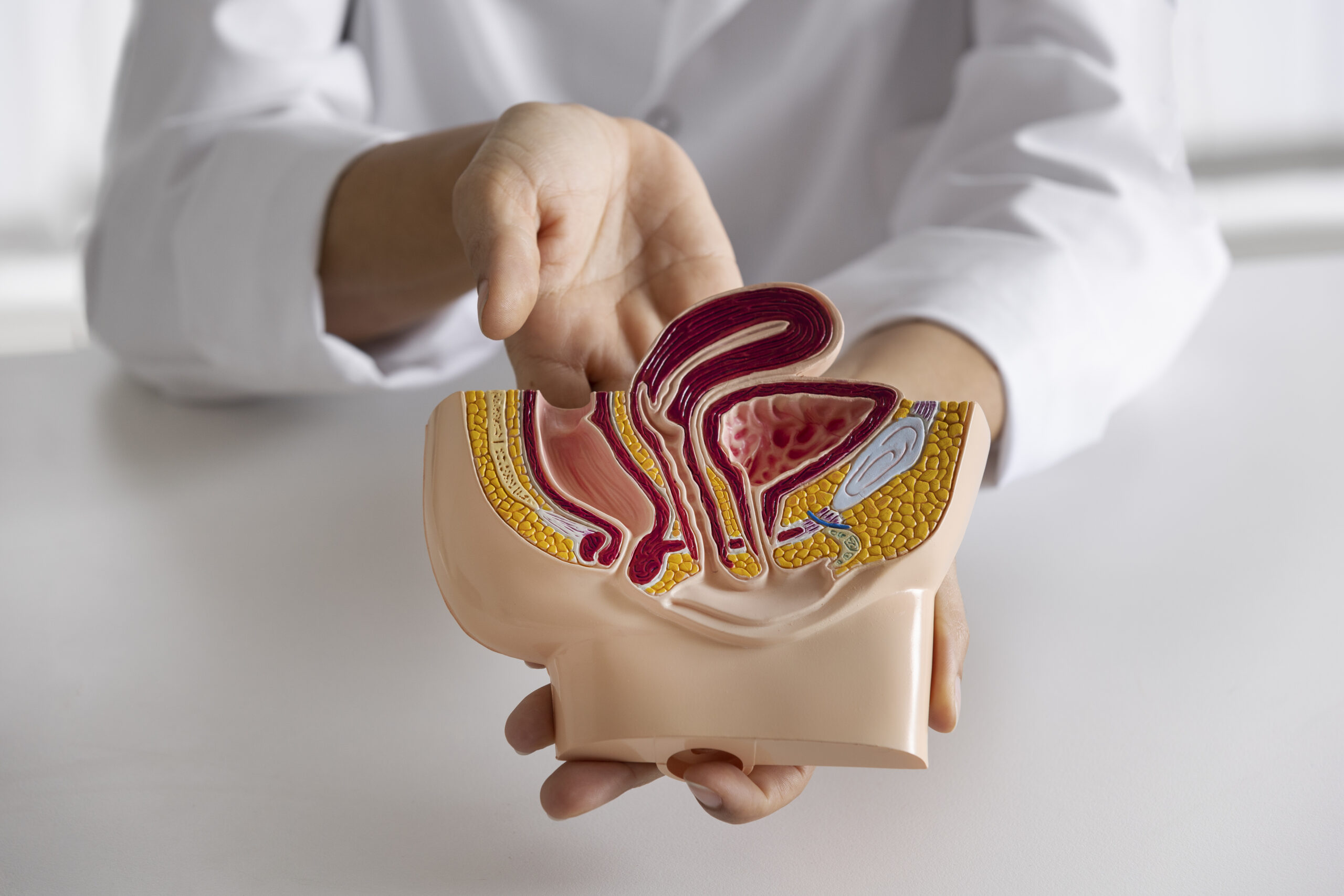 Read more about the article 10 Expert Tips to Manage Piles and Live a Normal Life