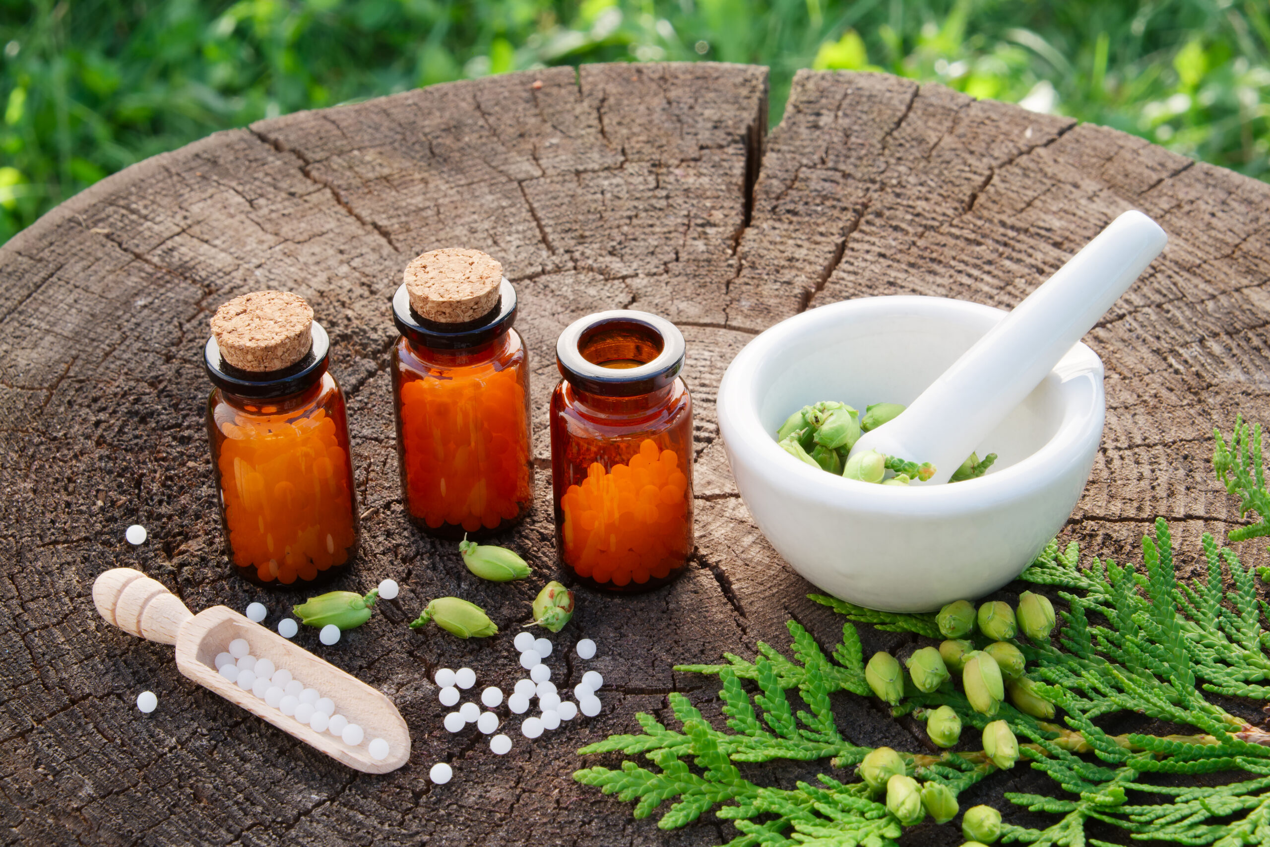 Read more about the article How Homeopathy Treats the Root Cause: Not Just the Symptoms?