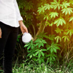 Why Homeopathy Focuses on Root Cause, Not Just Symptoms ?