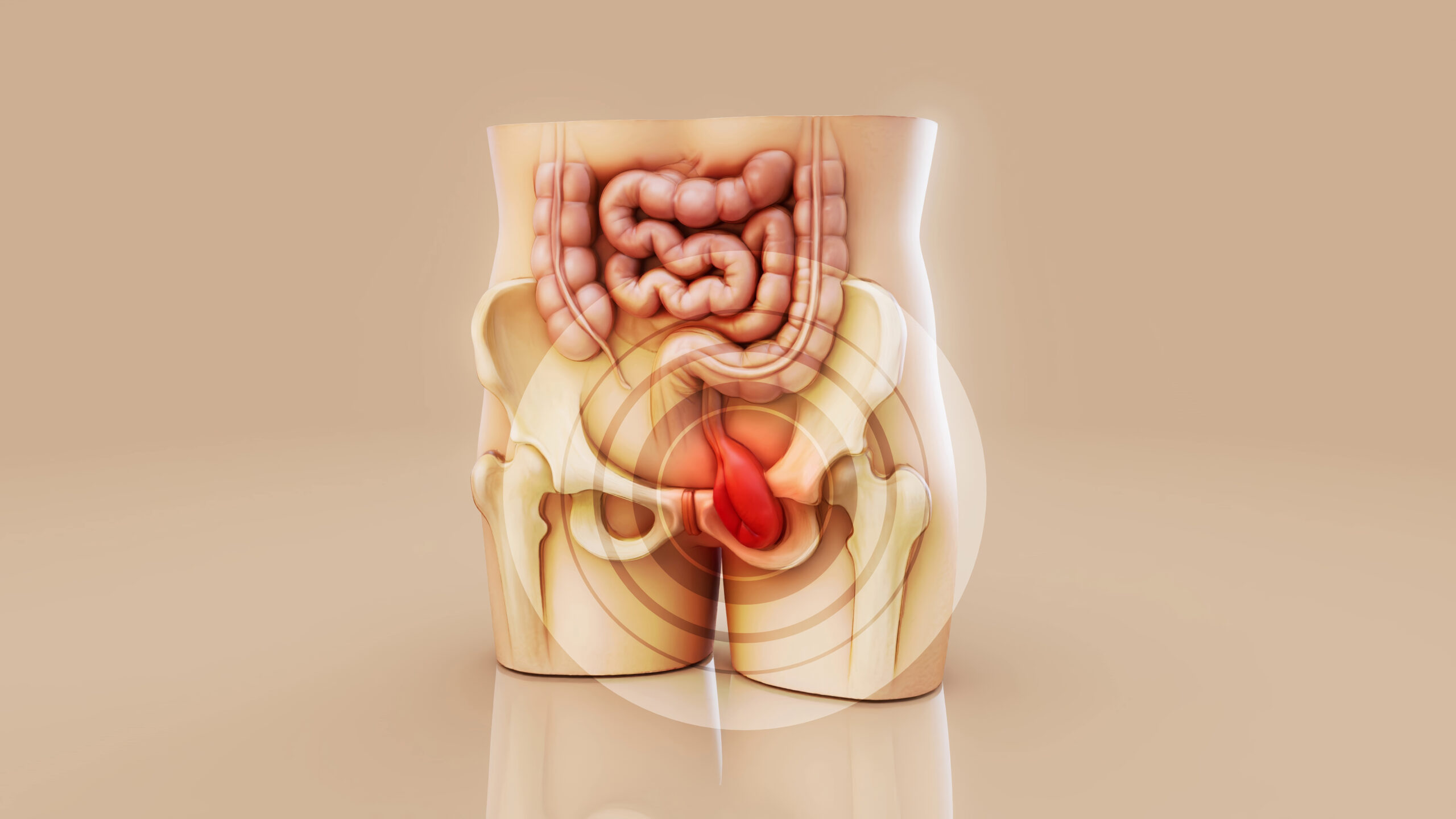 You are currently viewing Piles vs Fissure vs Fistula: Symptoms, Pain Differences and Which Clinic to Visit in Delhi