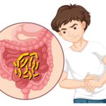 IBS vs IBD: Symptoms, Tests, and Key Differences