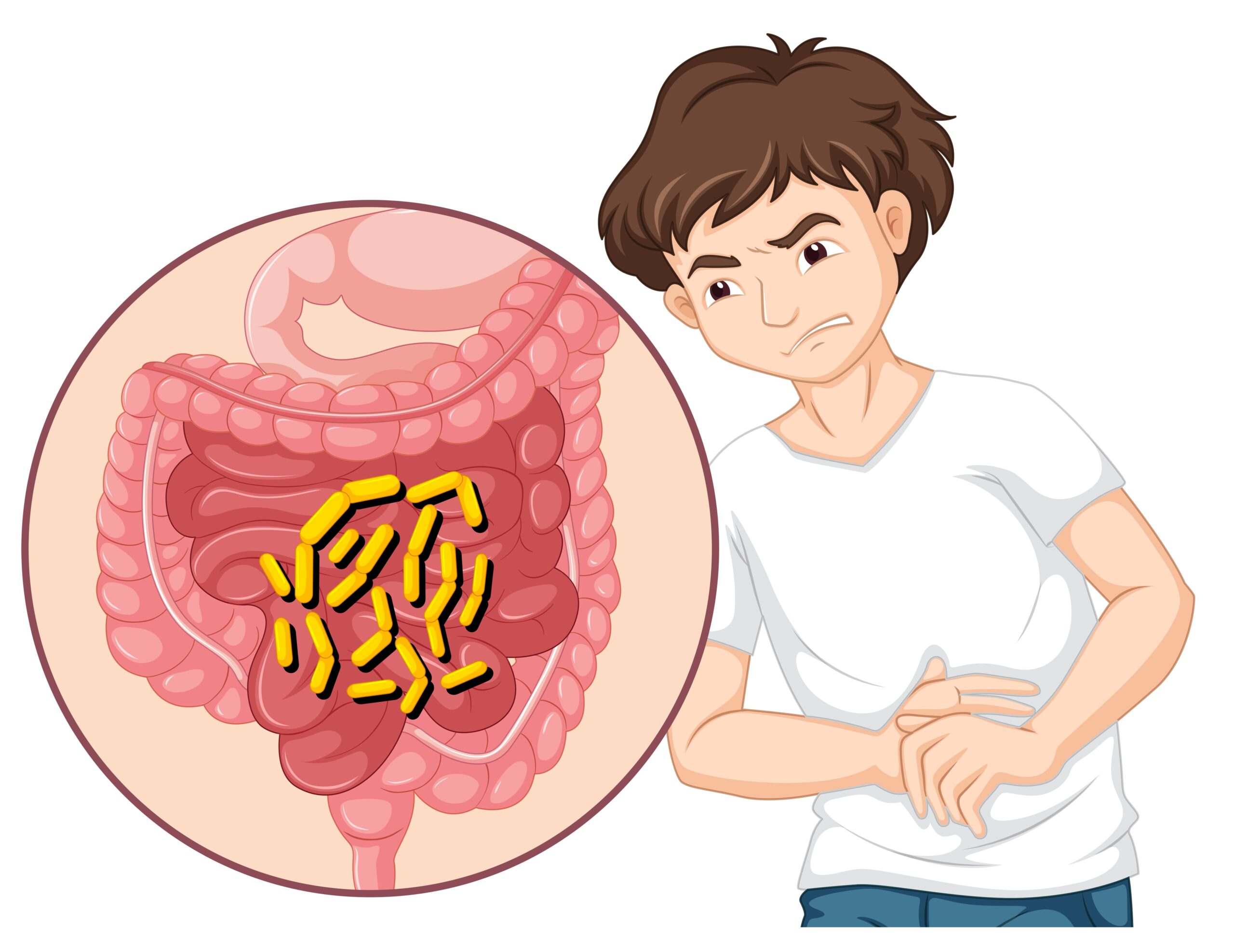 You are currently viewing IBS vs IBD: Symptoms, Tests, and Key Differences