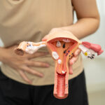 Adenomyosis vs Uterine fibroids: symptoms and key differences